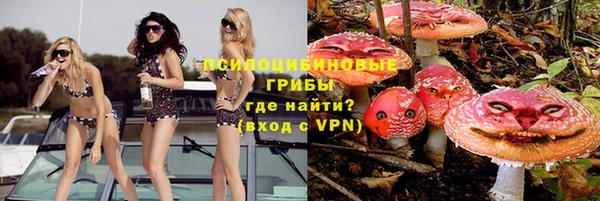 стаф Куйбышев