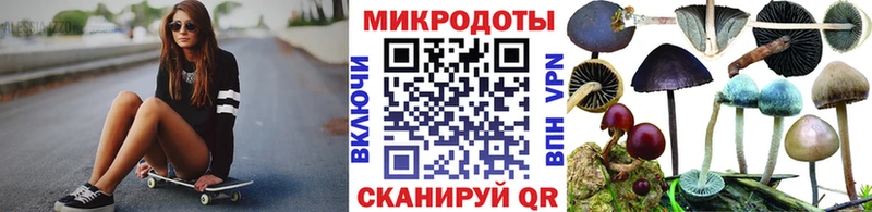 Купить где  Ладушкин  Галлюциногенные грибы Psilocybe 